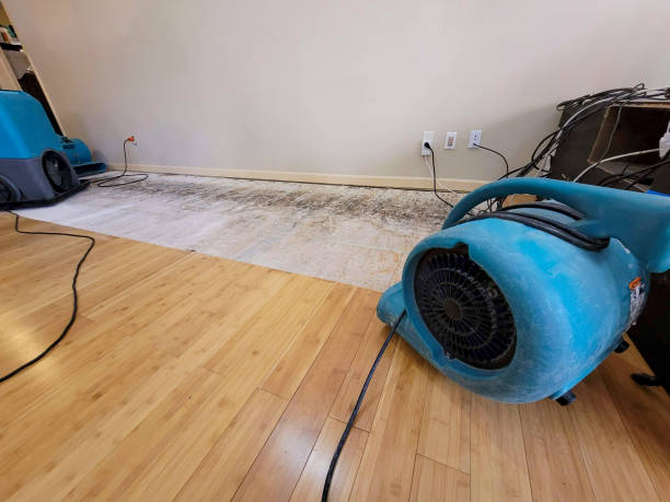 Professional Water Damage Repair technician working in Clarksville, OH